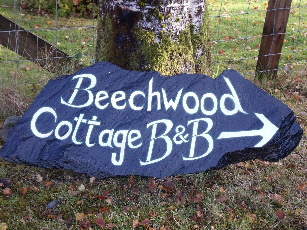 غلينكو Beechwood Cottage B&B المظهر الخارجي الصورة